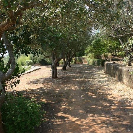 Appartamento In Villa Fortunata Terra Marina Serra Exterior foto